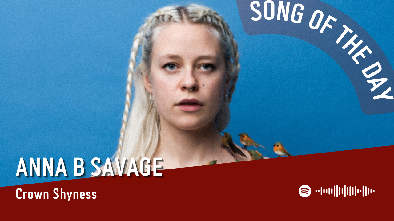 La #SOTD di oggi è di: Anna B Savage