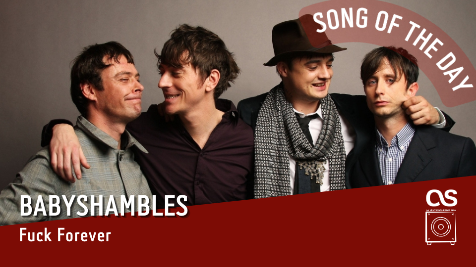 La #SOTD di oggi è dei: Babyshambles