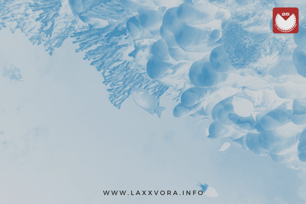 NOVITA' "Loved" di Four Tet in playlist SATURATED | Sandbox 2024