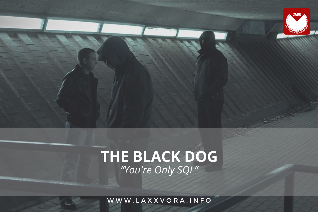 The Black Dog, è l'artista con la #SOTD di oggi! ☕️