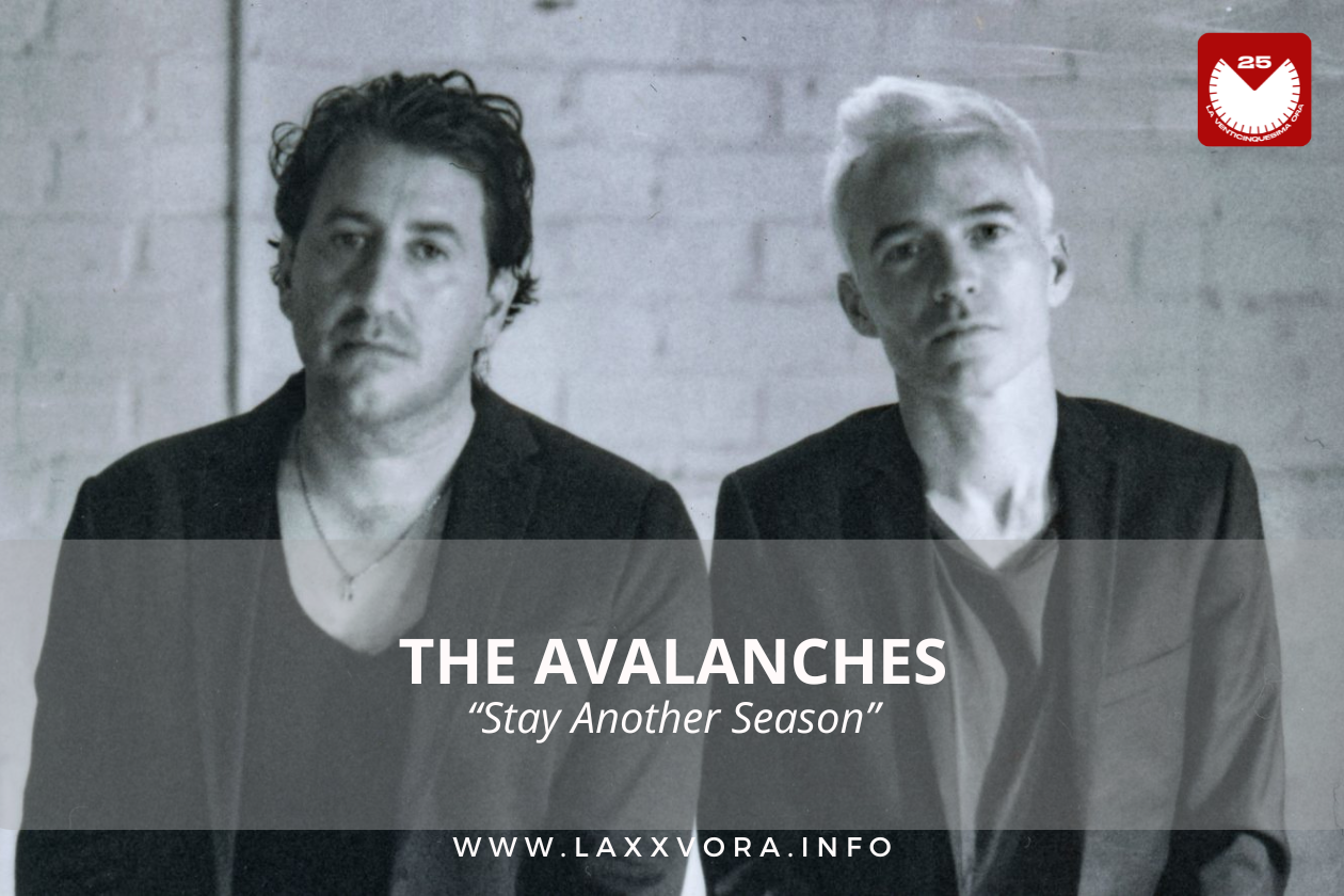 The Avalanches, è l'artista con la #SOTD di oggi! ☕️