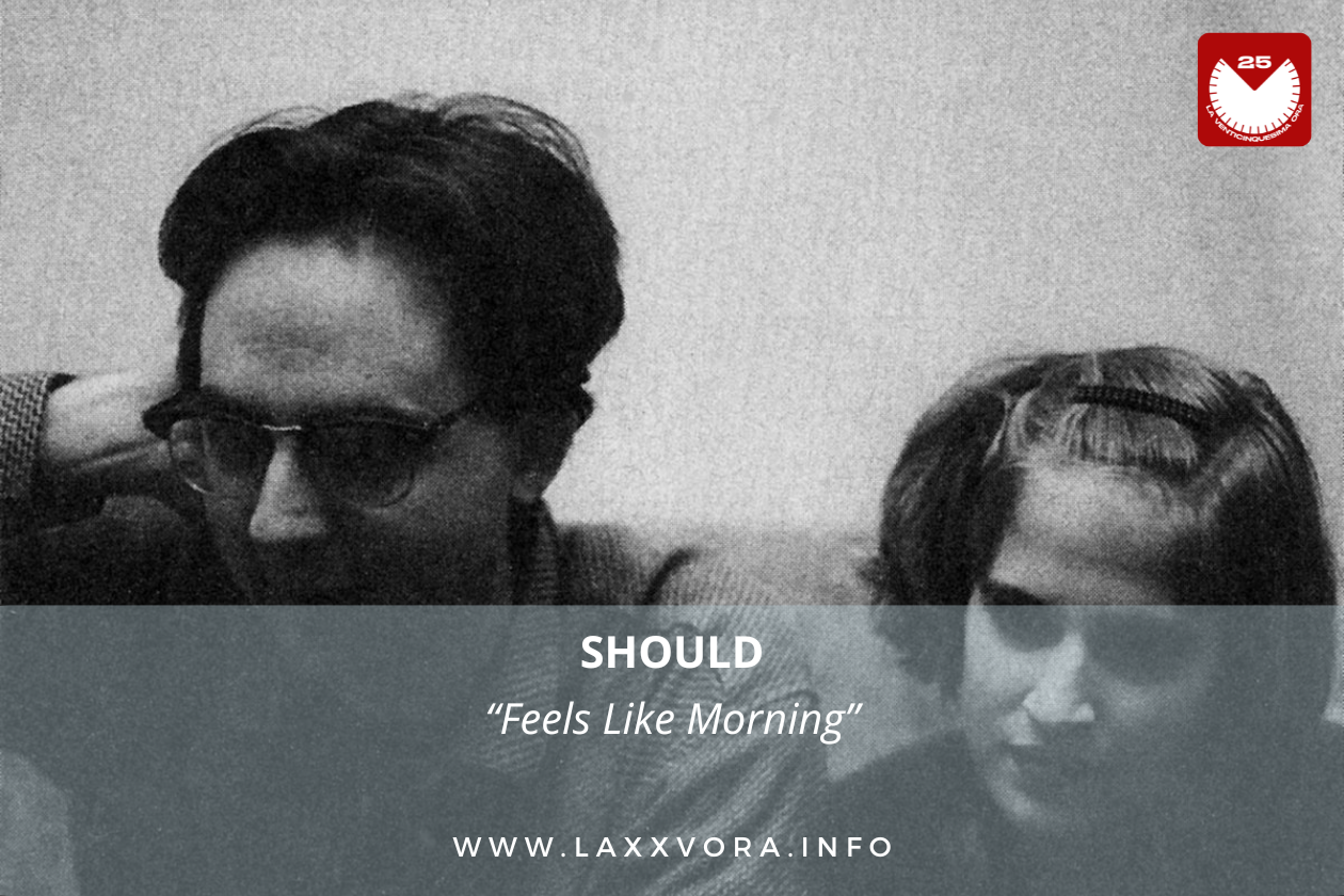 Should, è la band con la #SOTD di oggi!