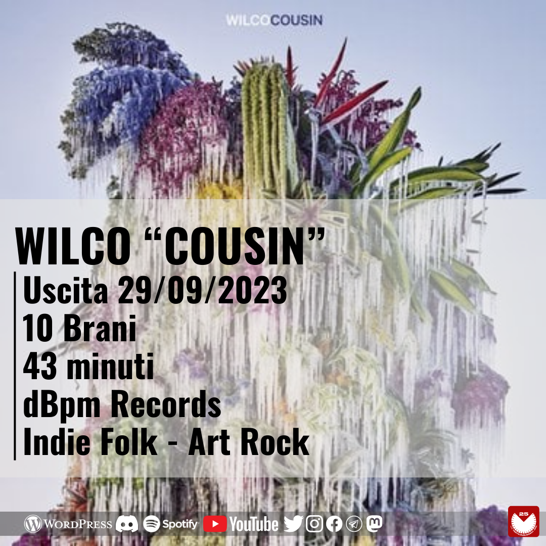 Wilco “Cousin”