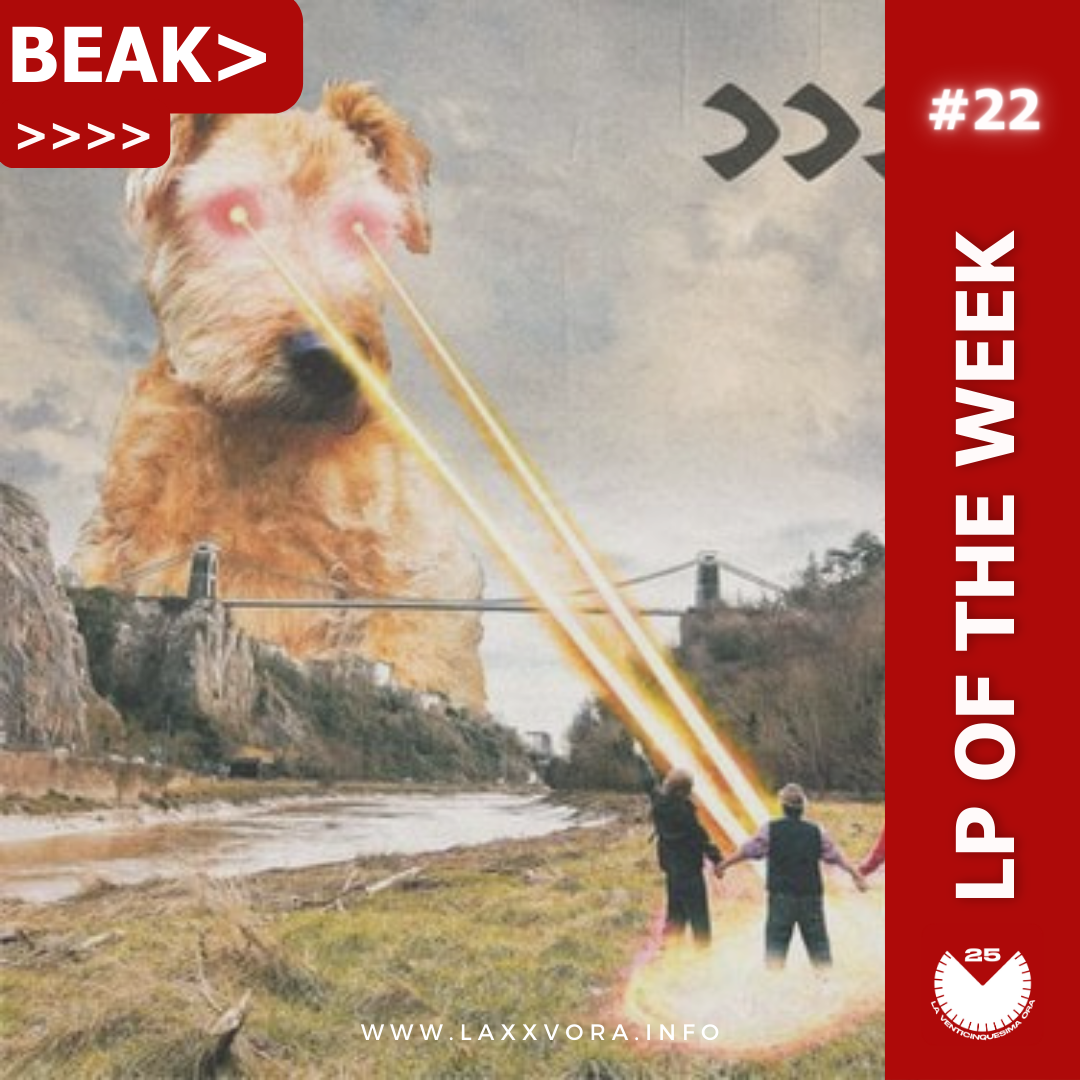 BEAK>