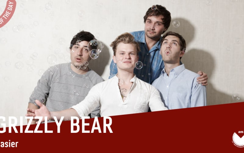 La #SOTD di oggi è di:  Grizzly Bear