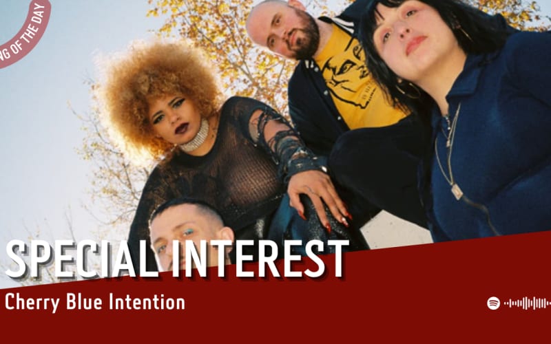 La #SOTD di oggi è di:  Special Interest
