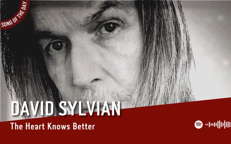 La #SOTD di oggi è di:  David Sylvian