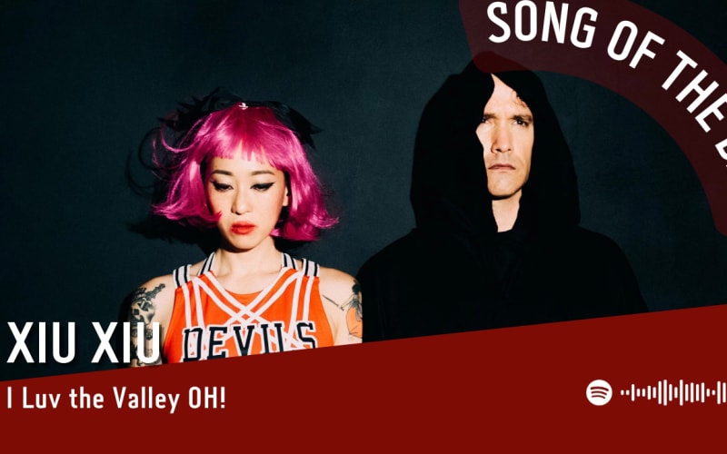 La #SOTD di oggi è di:  Xiu Xiu