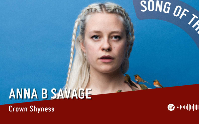La #SOTD di oggi è di:  Anna B Savage