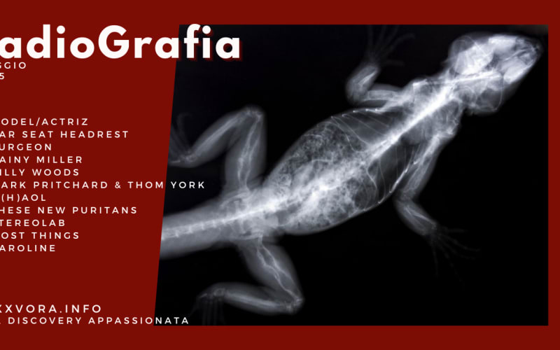 RadioGrafia di Maggio 2025