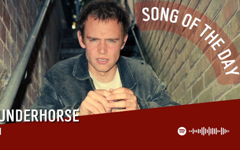 La #SOTD di oggi è dei: Wunderhorse