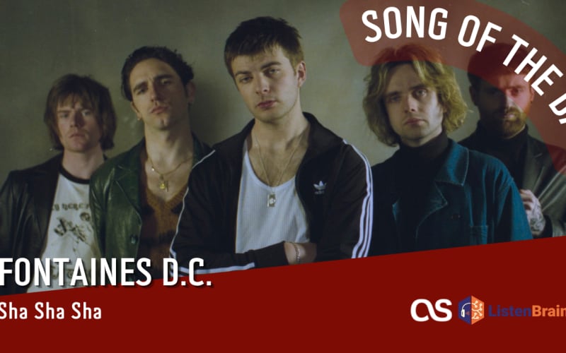 La #SOTD di oggi è dei: Fontaines D.C.