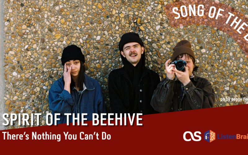 La #SOTD di oggi è dei: Spirit Of The Beehive 🎃