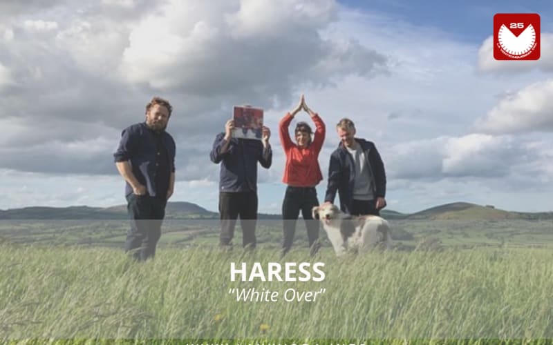 Haress, è la band con la #SOTD di oggi! ☕️