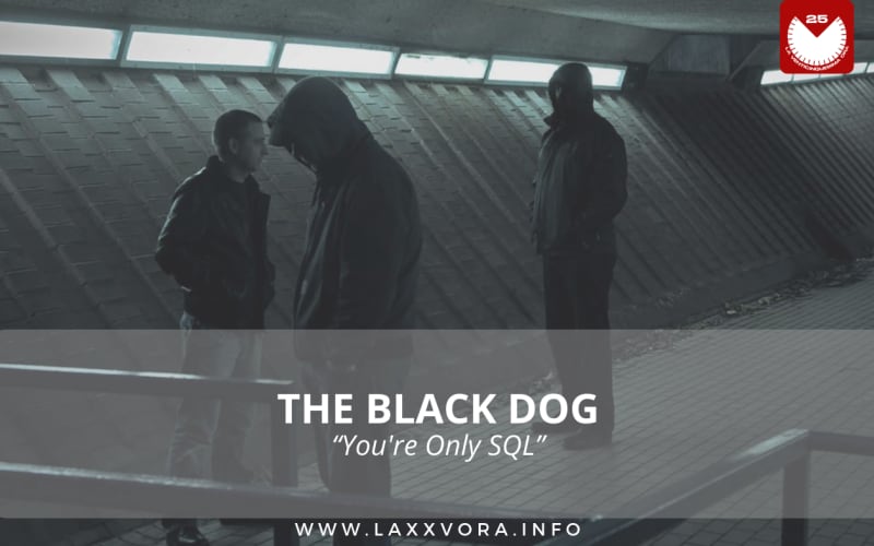 The Black Dog, è l'artista con la #SOTD di oggi! ☕️