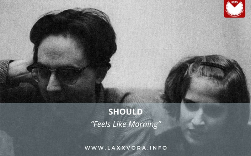 Should, è la band con la #SOTD di oggi!