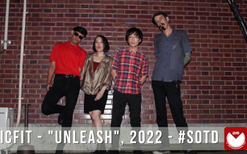 π¬ Song Of The Day n. 343/2023!