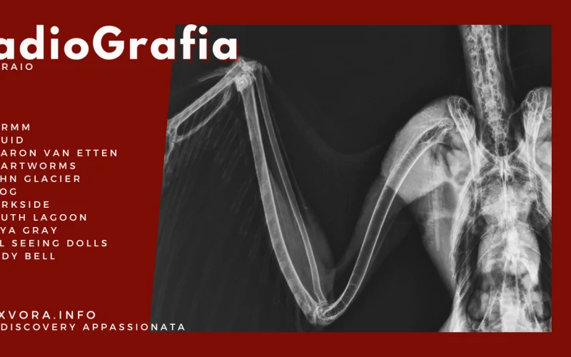 RadioGrafia di Febbraio 2025