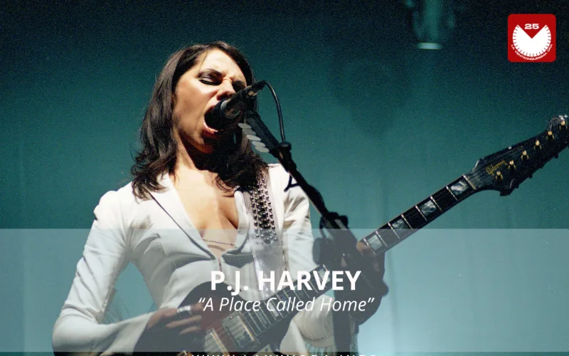 PJ Harvey, è l'artista con la #SOTD di oggi!