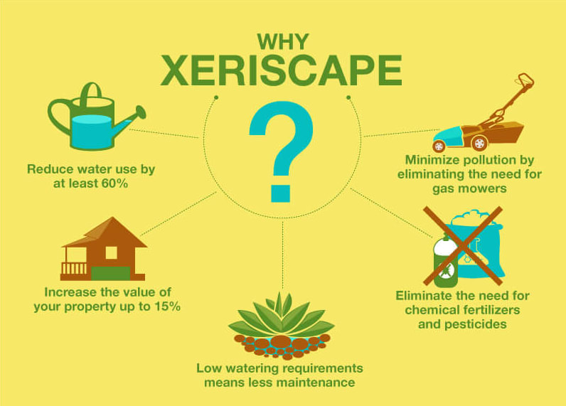 San Diego Xeriscaping 101 Murray Lampert