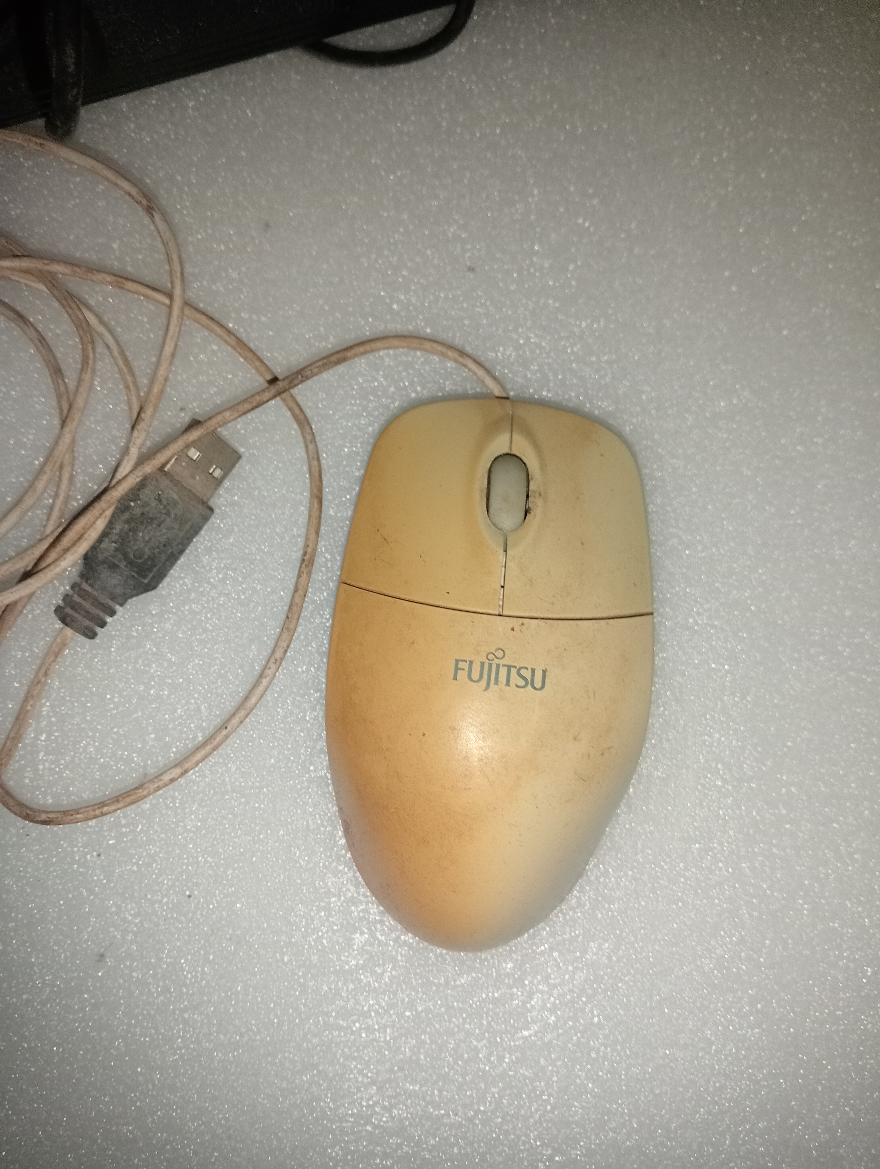 Mouse
