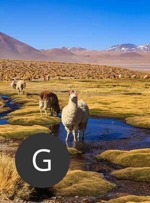Travel agent Geri in Bolivia