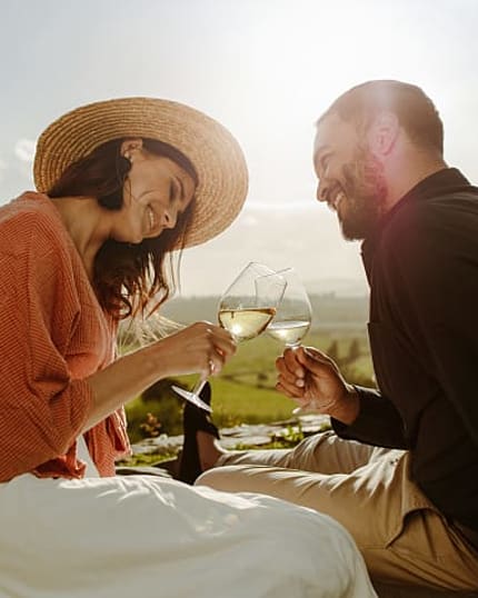 Couple toasts with wine glasses during sunny outdoor picnic.