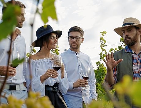 Generic Vineyard Wine Tasting Friends