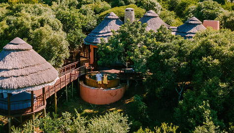 Honeymoon couple at safari lodge in South Africa