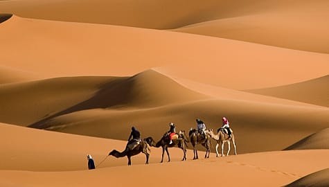 Camel riding in the Sahara Desert of Morocco.