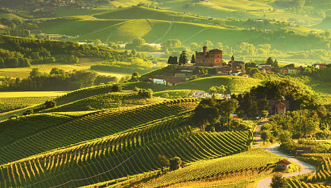 Vineyards surrounding Grinzane Covour in the Piedmont region of Italy