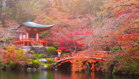 Vibrant autumn colors surround Daigo-ji temple in Kyoto, Japan