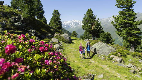 Family hiking in Sellraintal, Austria