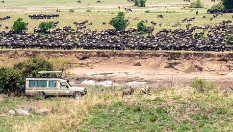 Great migration view in Northern Serengeti, Tanzania