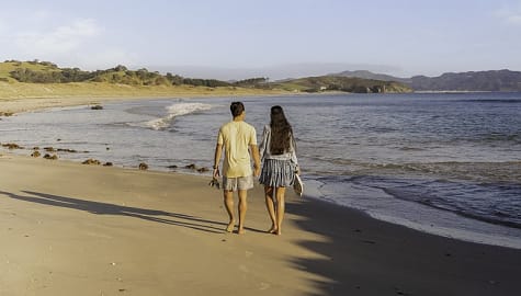 Couple walking on Tawharanui Beach in Auckland New Zealand