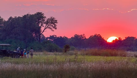 Family on safari in the Okavango Delta, Botswana