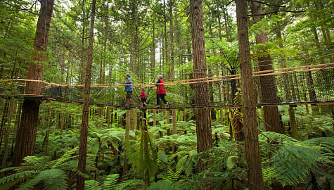 Family at the Redwoods Treewalk in Rotorua, New Zealand