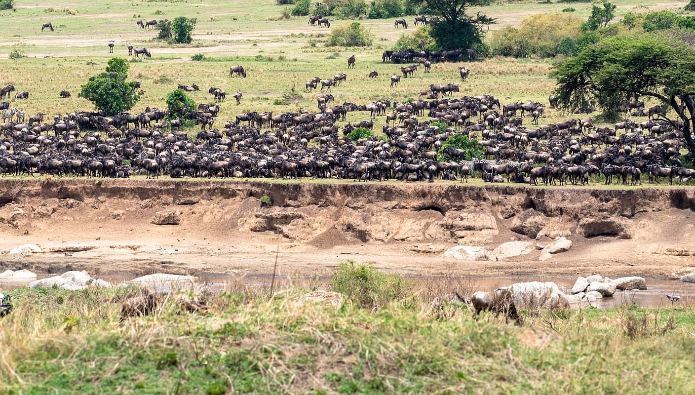 Great migration view in Northern Serengeti, Tanzania