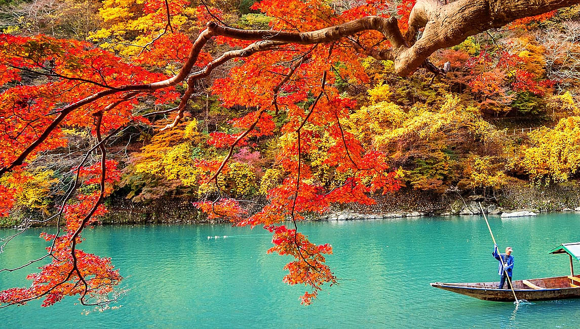 Boatman punting a boat down river in Arashiyama during the autumn season in Kyoto, Japan.