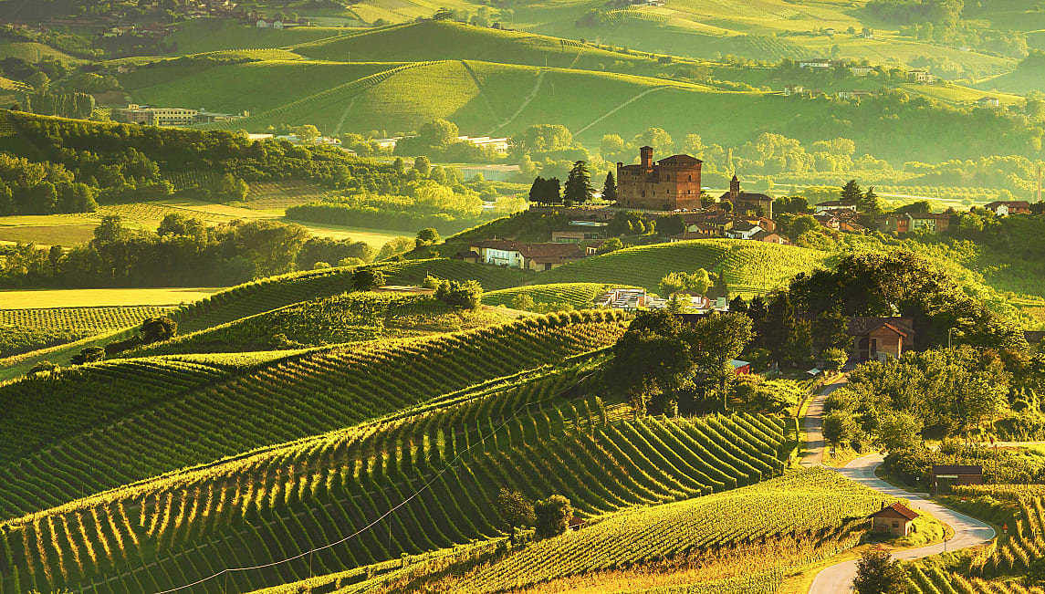 Vineyards surrounding Grinzane Covour in the Piedmont region of Italy