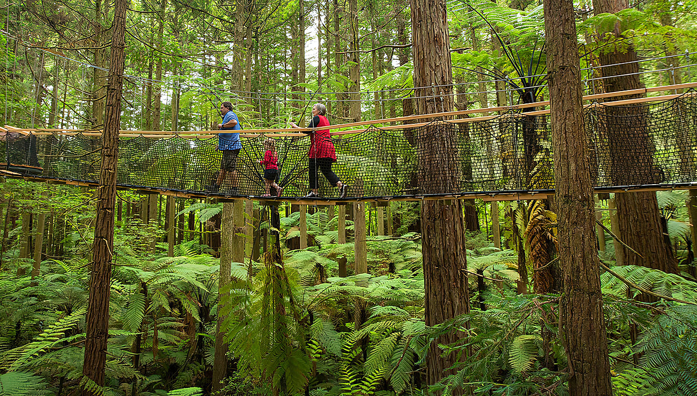Family at the Redwoods Treewalk in Rotorua, New Zealand