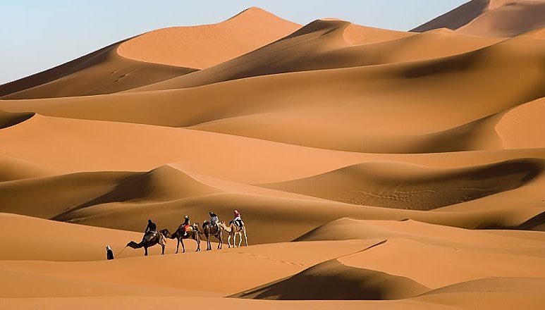 Camel riding in the Sahara Desert of Morocco