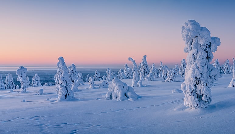 Riisitunturi Fell in Riisitunturi National Park, Finland