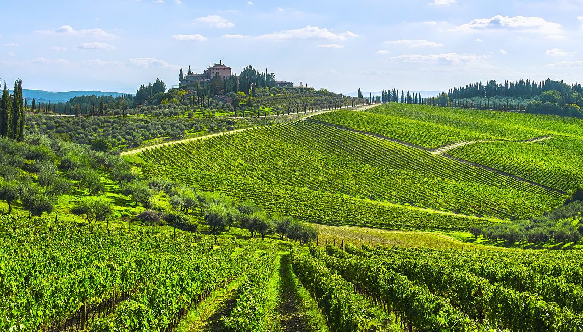 Vineyards on the rolling hills in Chianti, Italy