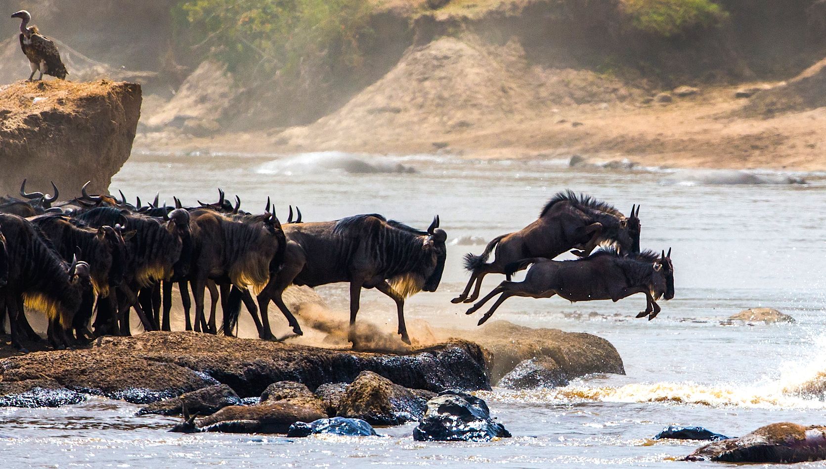 safaris in east africa