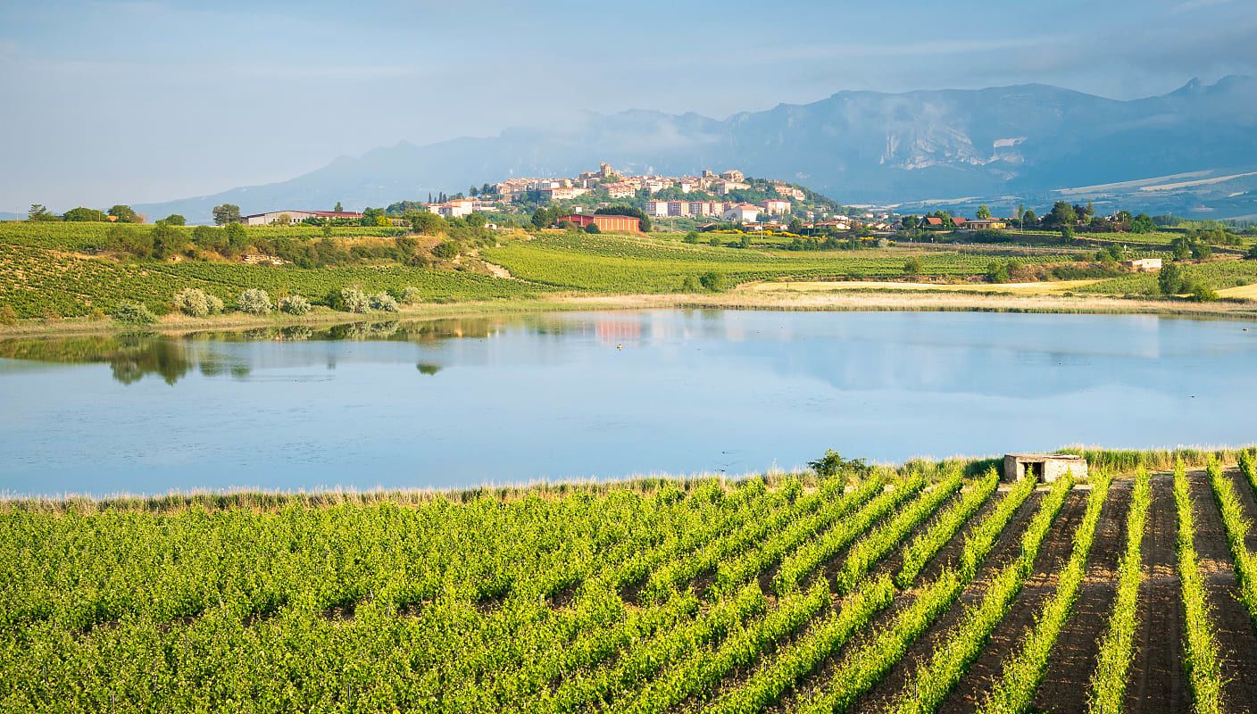 Vineyards in Rioja, Spain