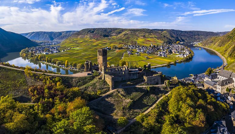 Vineyards and castle along the Moselle river in Poltersdor in the Cochem-Zell district in Rhineland-Palatinate, Germany