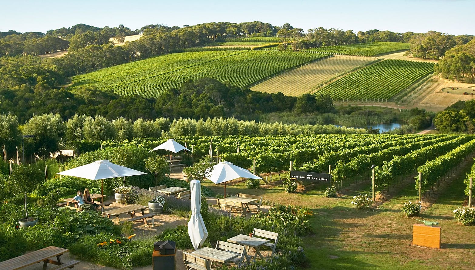Montalto Winery and Olive Grove. Photo © Mornington Peninsula Regional Tourism