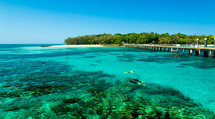 Snorkels exploring the reef around Green Island, Australia