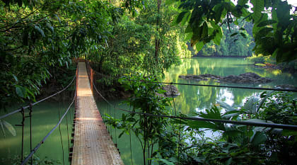 Hanging bridge in the Costa Rican rainforest
